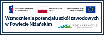 NOWATORSKIE KSZTAŁCENIE ZAWODOWE W SZKOŁACH PROWADZONYCH PRZEZ POWIAT NIŻAŃSKI