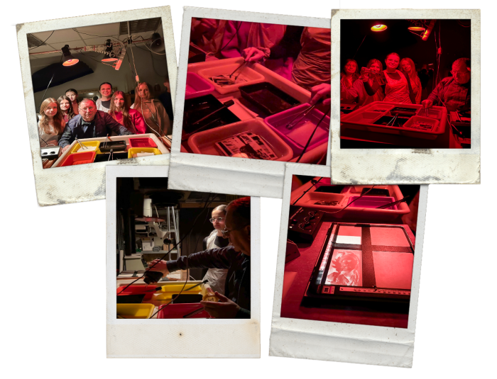 WARSZTATY W CIEMNI ANALOGOWEJ