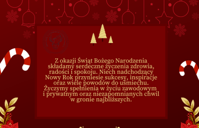 Wesołych Świąt i szczęśliwego Nowego Roku!